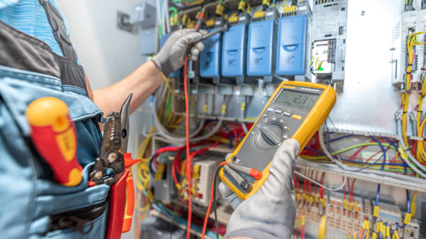 Best Home Electrical Repair  in Ithaca, MI